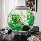 Easy Plant Set in Use