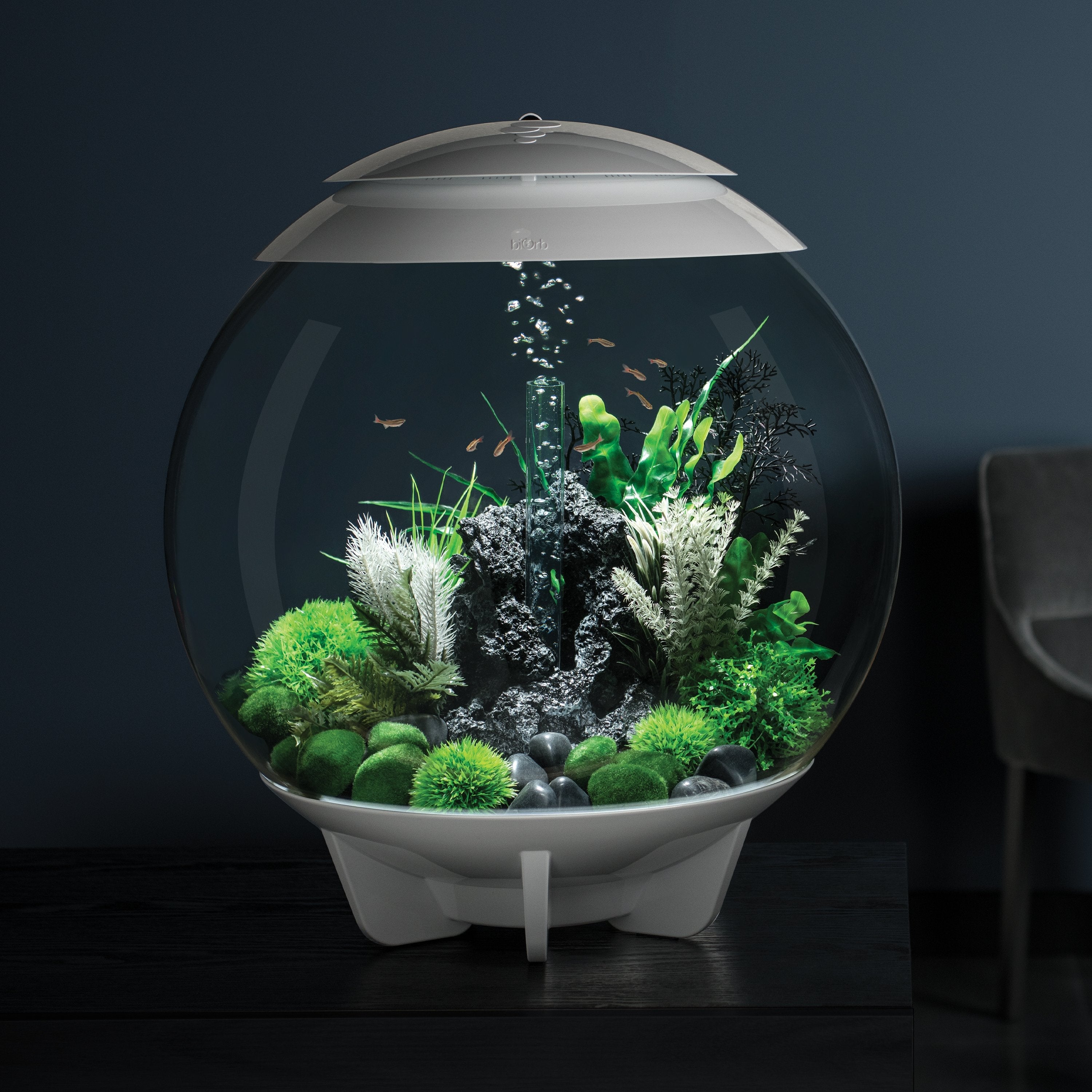 Black Medium Sea Fan in Use