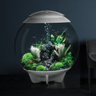 Aquatic Topiary Ball Set In Use