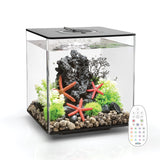 Reduced from £339.98 - CUBE 30 Aquarium with with Multi Colour LED light - remote control