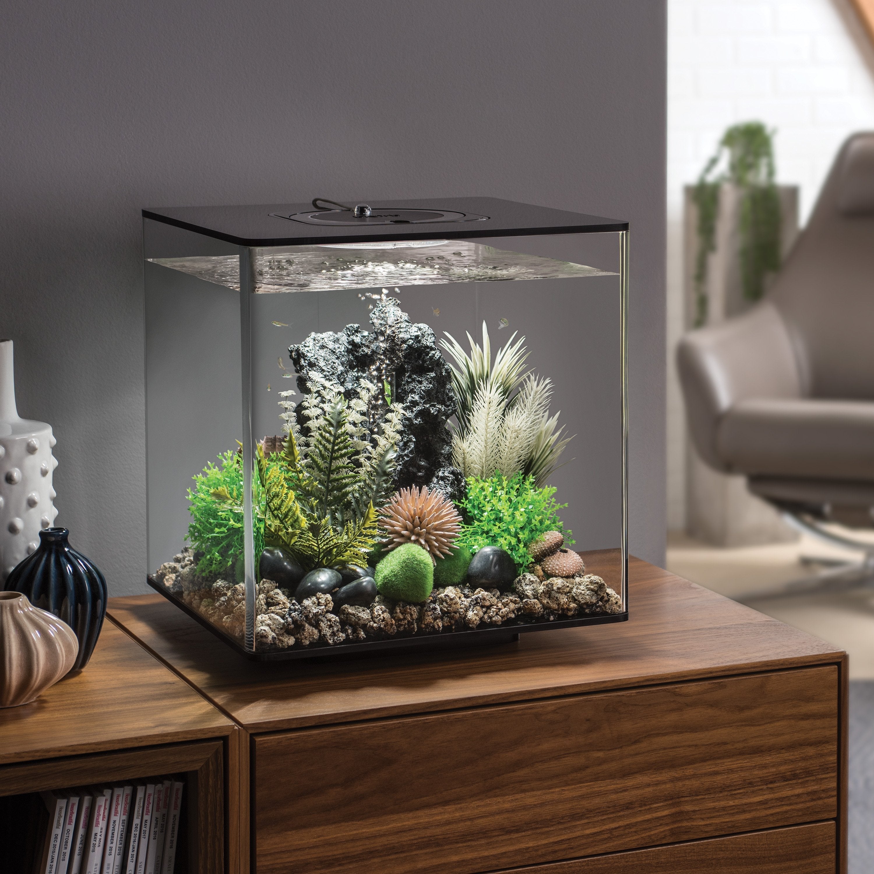 Get inspiration for your aquarium design by using the biOrb CUBE 30 Aquarium
