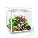 CUBE 30 Aquarium with with Multi Colour LED light - remote control