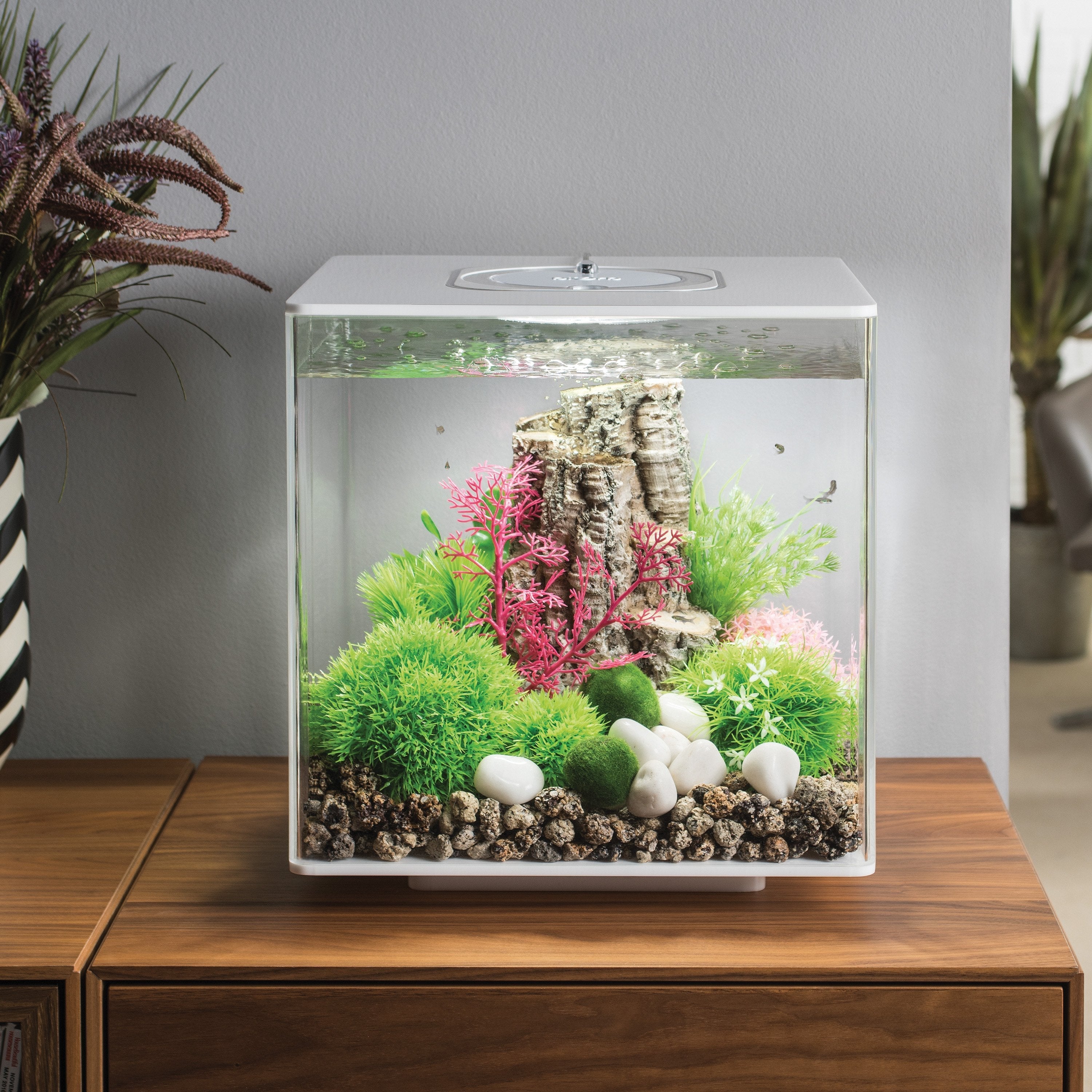 Get inspiration for your aquarium design by using the biOrb CUBE 30 Aquarium