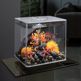 Lava Rock with Fire Coral Sculpture in Use