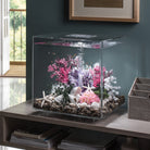 Bonsai Ball In Use