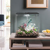 Get inspiration for your aquarium design by using the biOrb CUBE 60 Aquarium