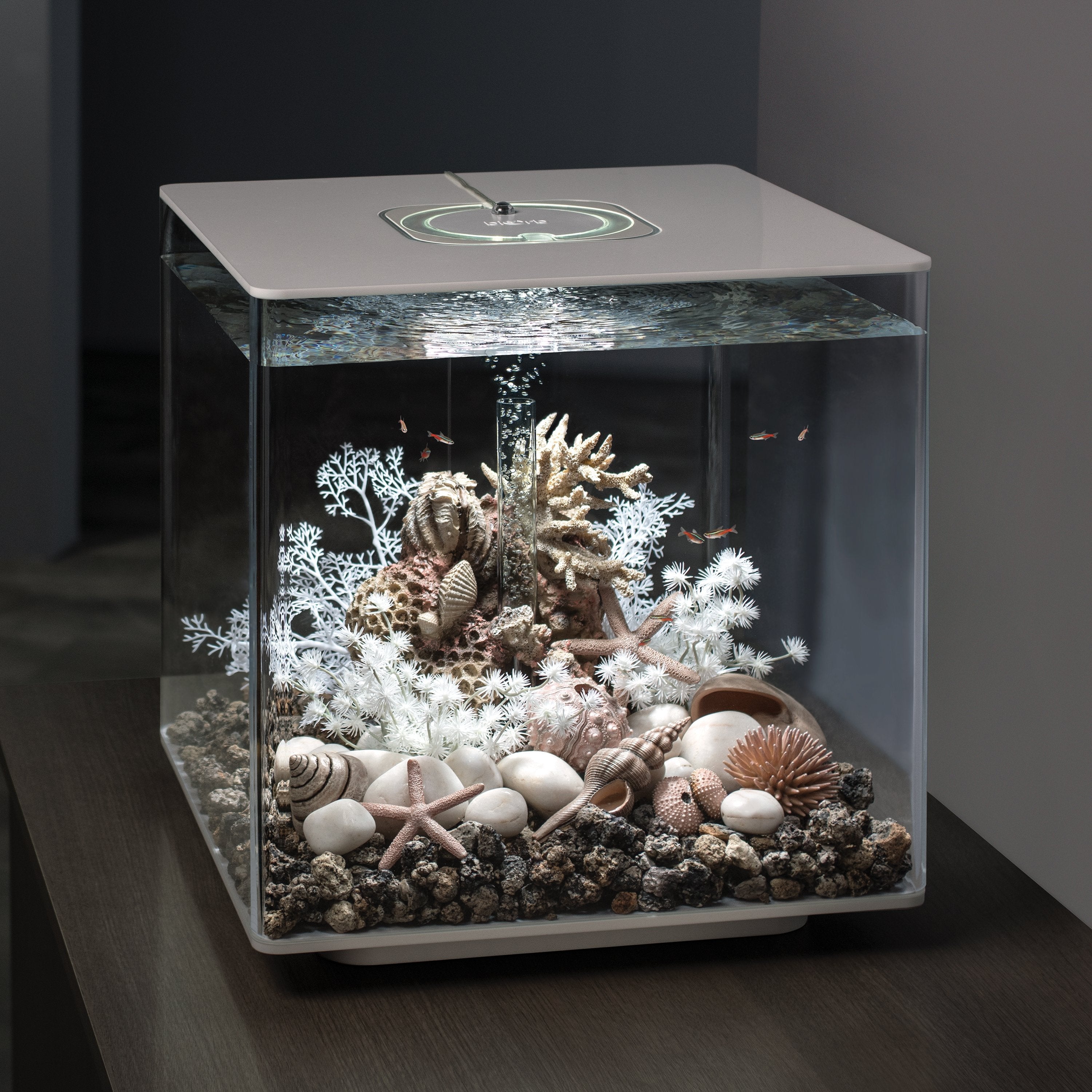 White Marble Pebble Set in Use