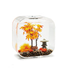 biOrb Aquarium Decor Set in use