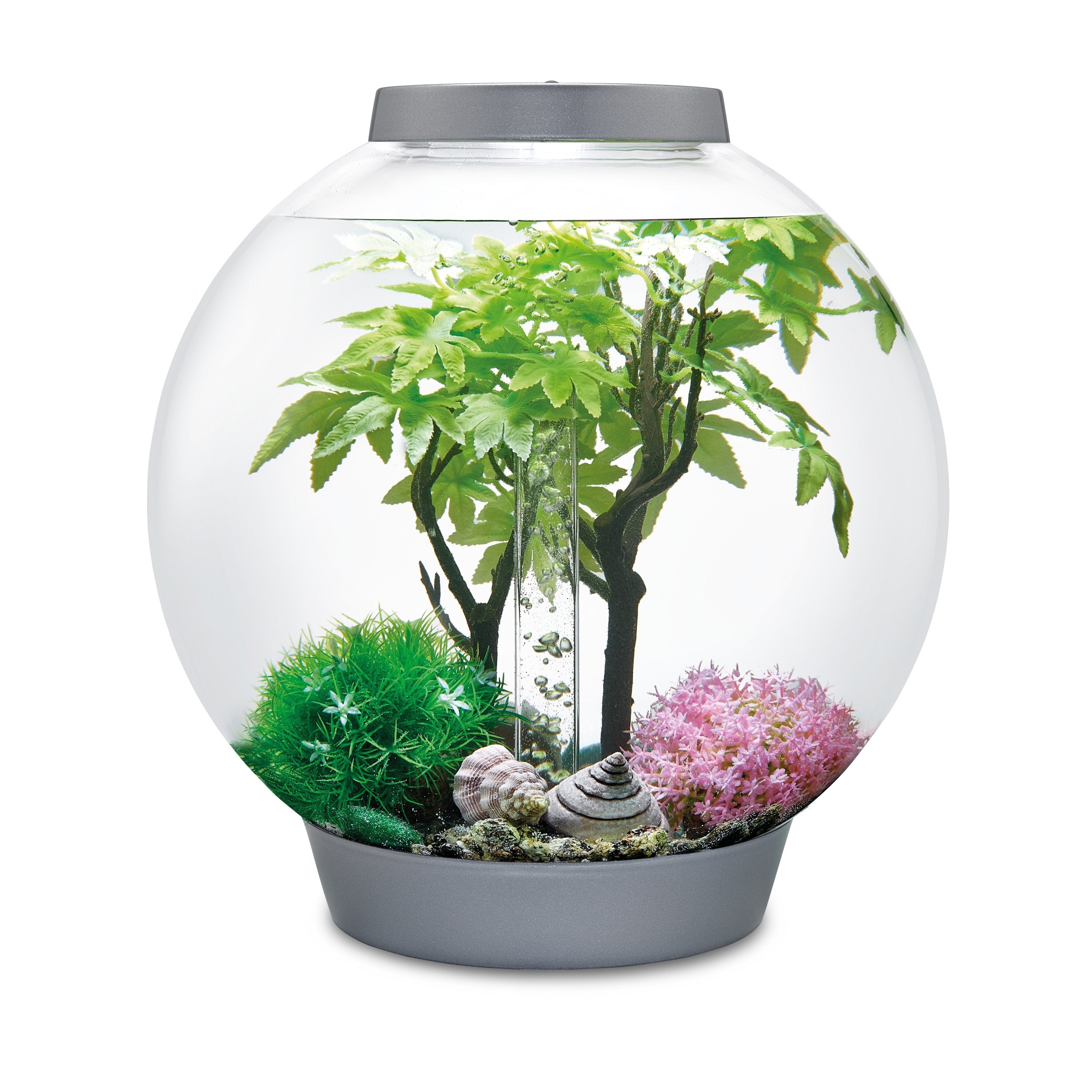 biOrb Aquarium Decor Set in use