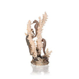 biOrb Seahorses on Coral Aquarium Sculpture, medium available in Natural