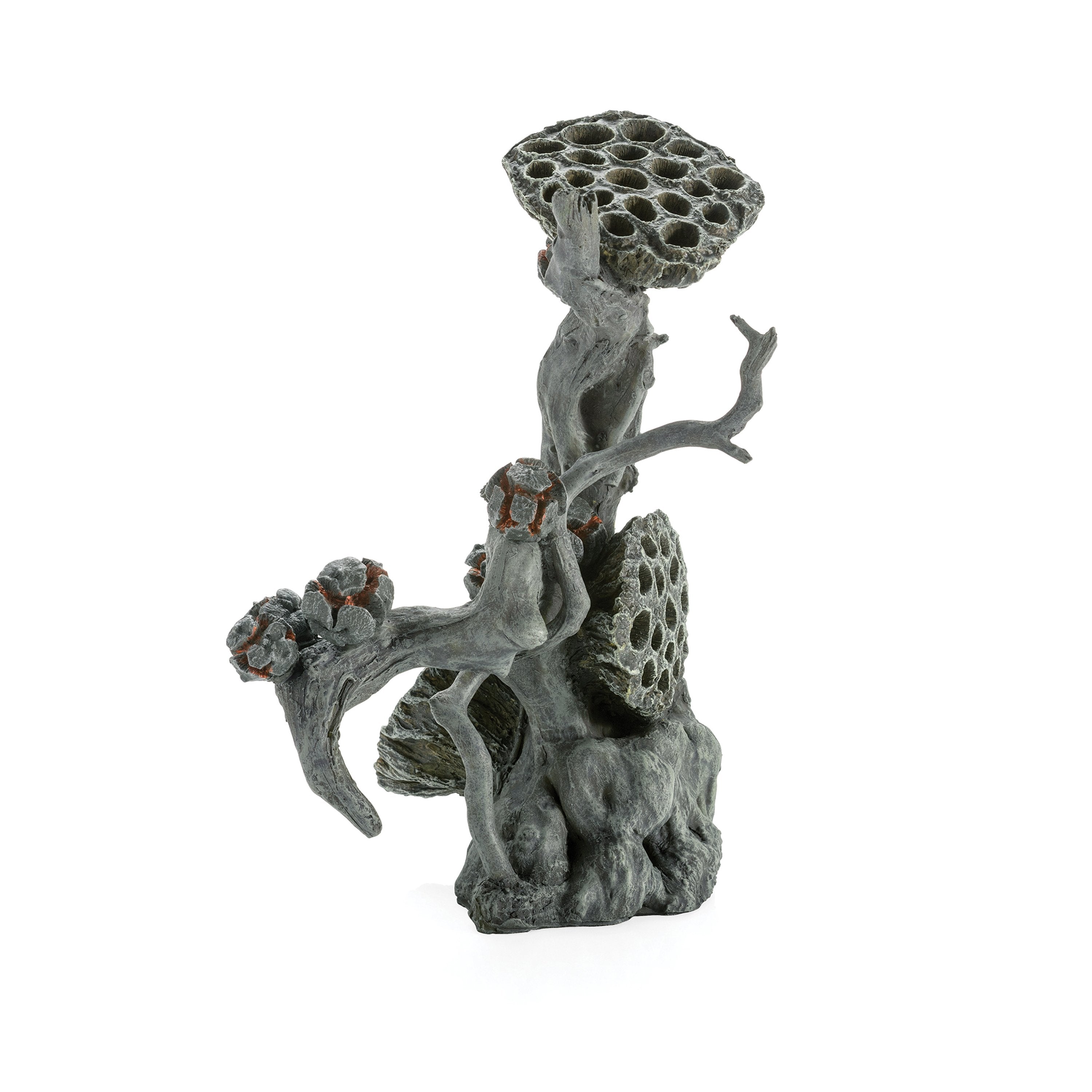 EARTH Lotus Seedpod on Root Sculpture large