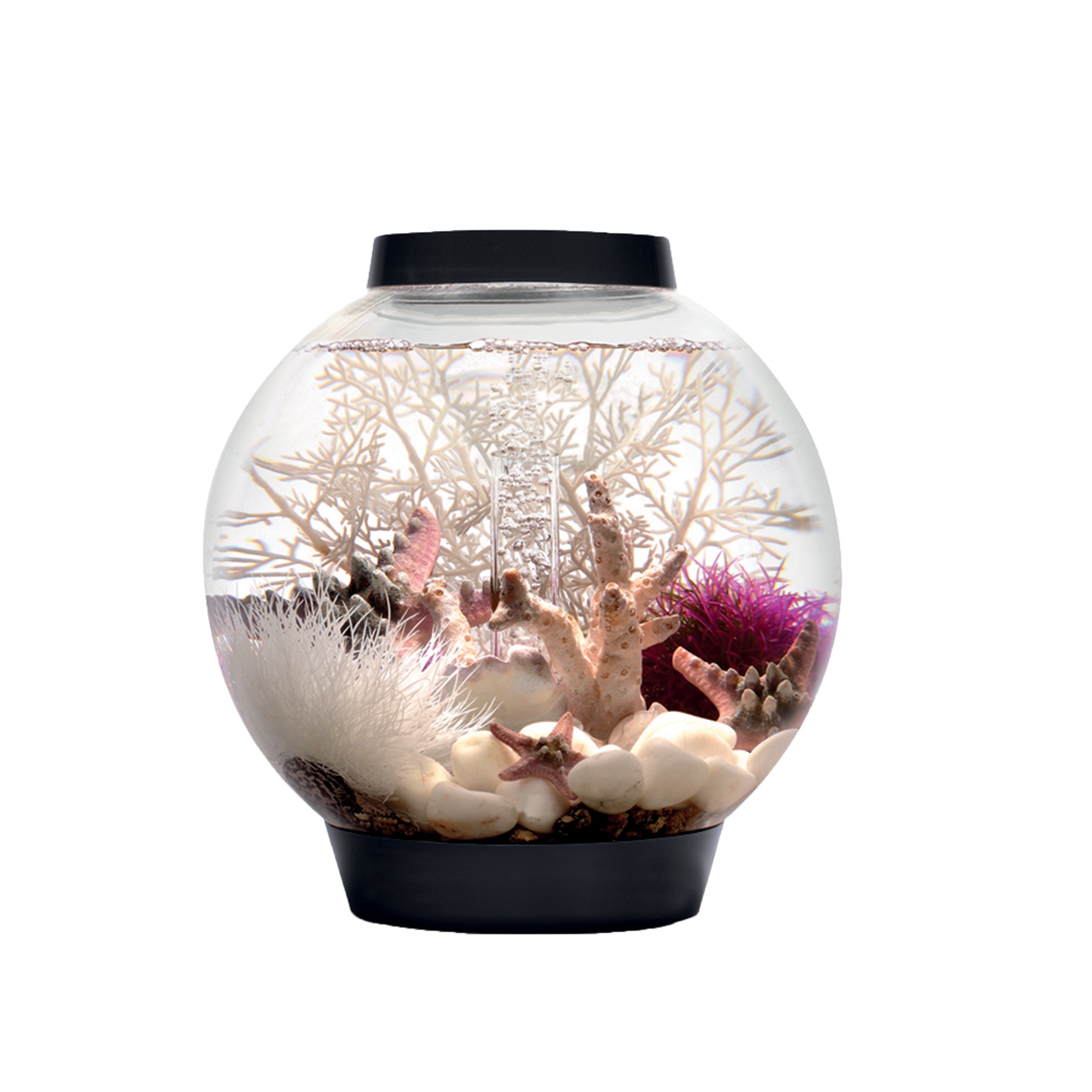 CLASSIC 15 Aquarium with Standard Light - 4 gallon