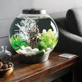 CLASSIC 15 Aquarium with Standard Light - 4 gallon available in Silver
