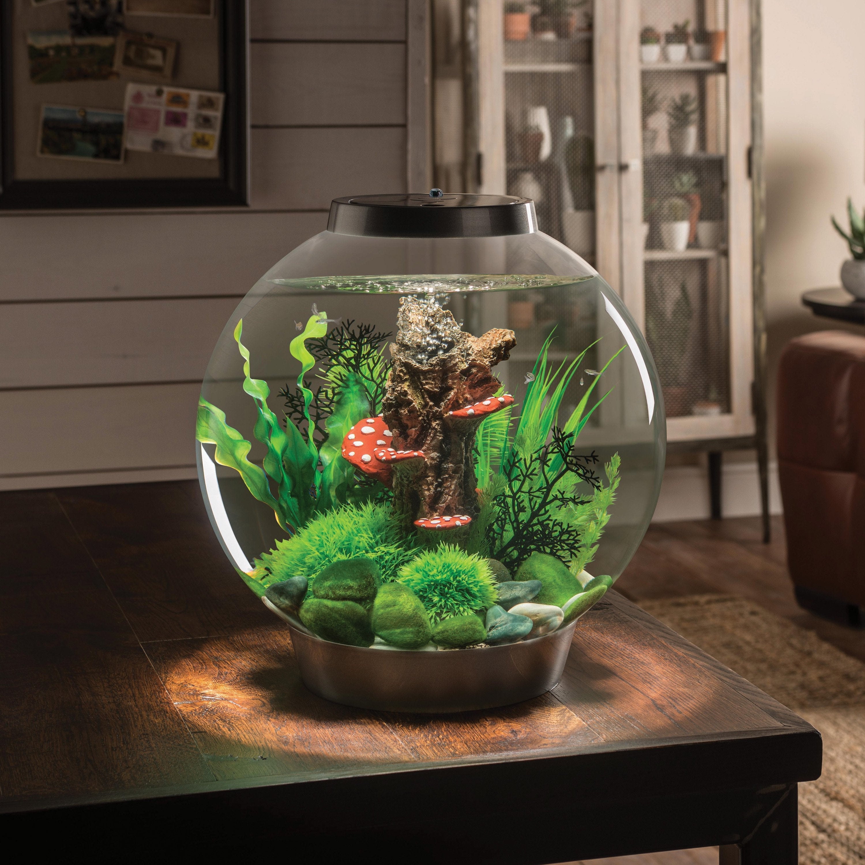 CLASSIC 30 Aquarium with MCR Light - 8 gallon in Use