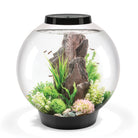 CLASSIC 60 Aquarium with Standard Light - 16 gallon available in black