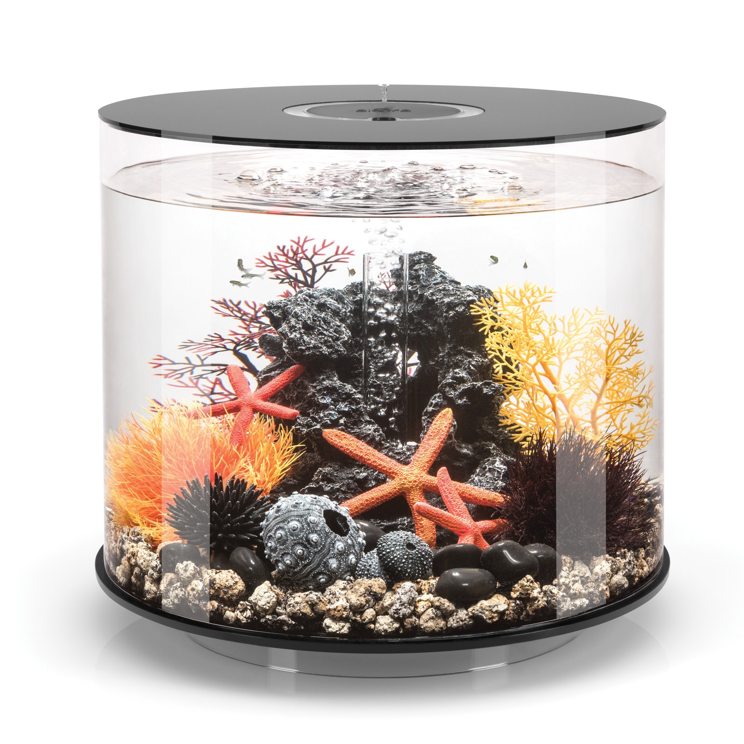 TUBE 35 Aquarium with Standard Light - 9.2 gallon available in Black