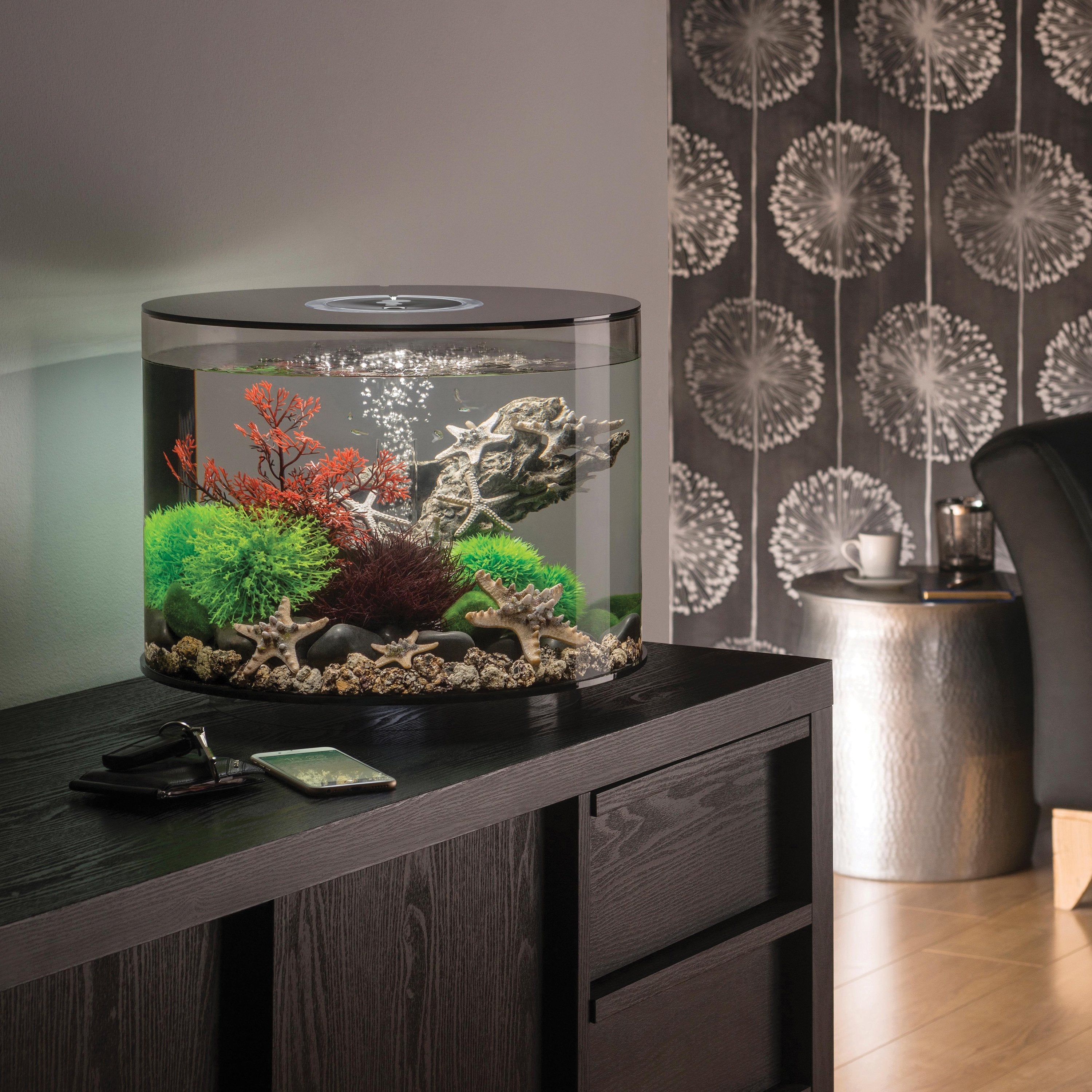 TUBE 35 Aquarium with Standard Light - 9.2 gallon in Use