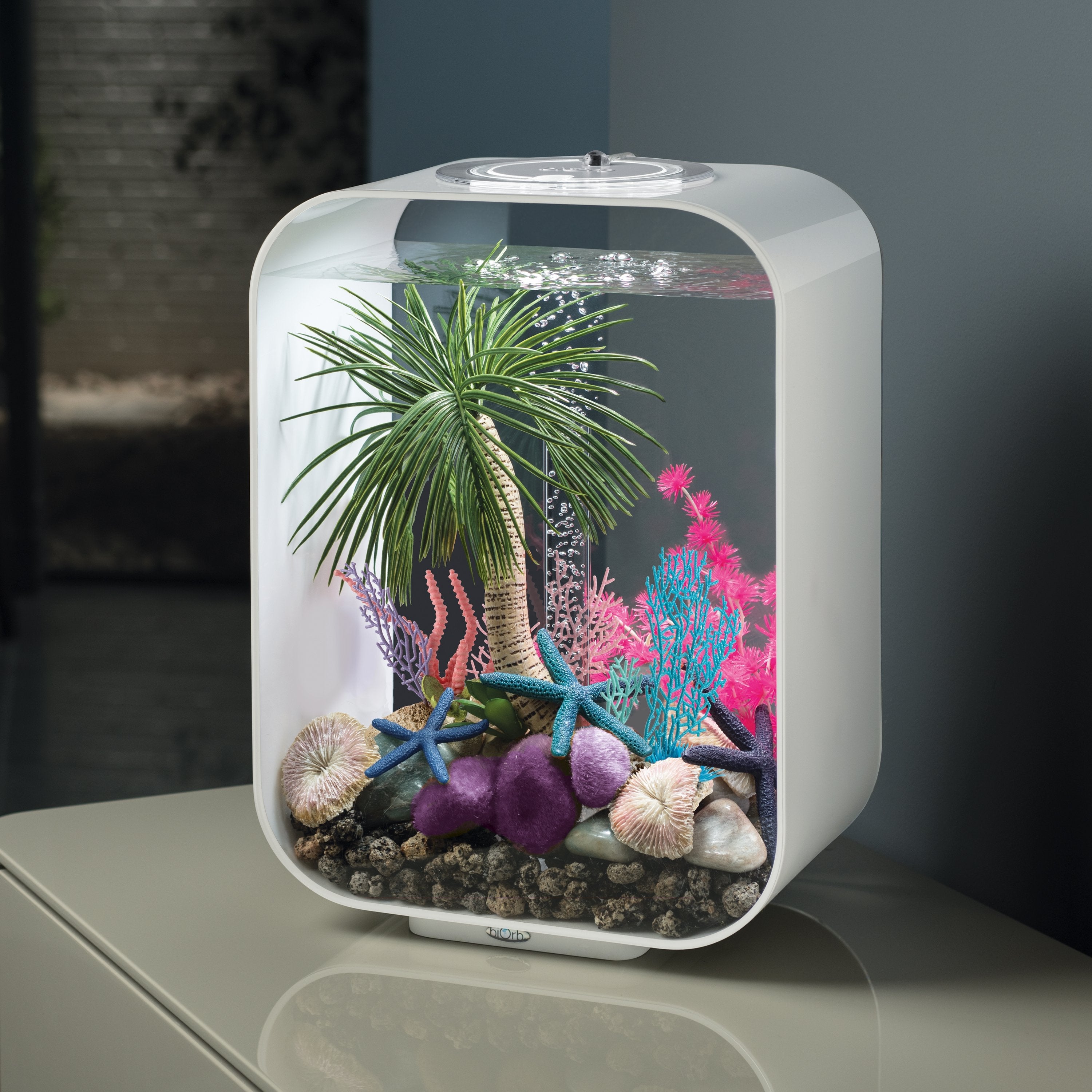 Seychelles Coral Fans & Shells Set of 3 in Use