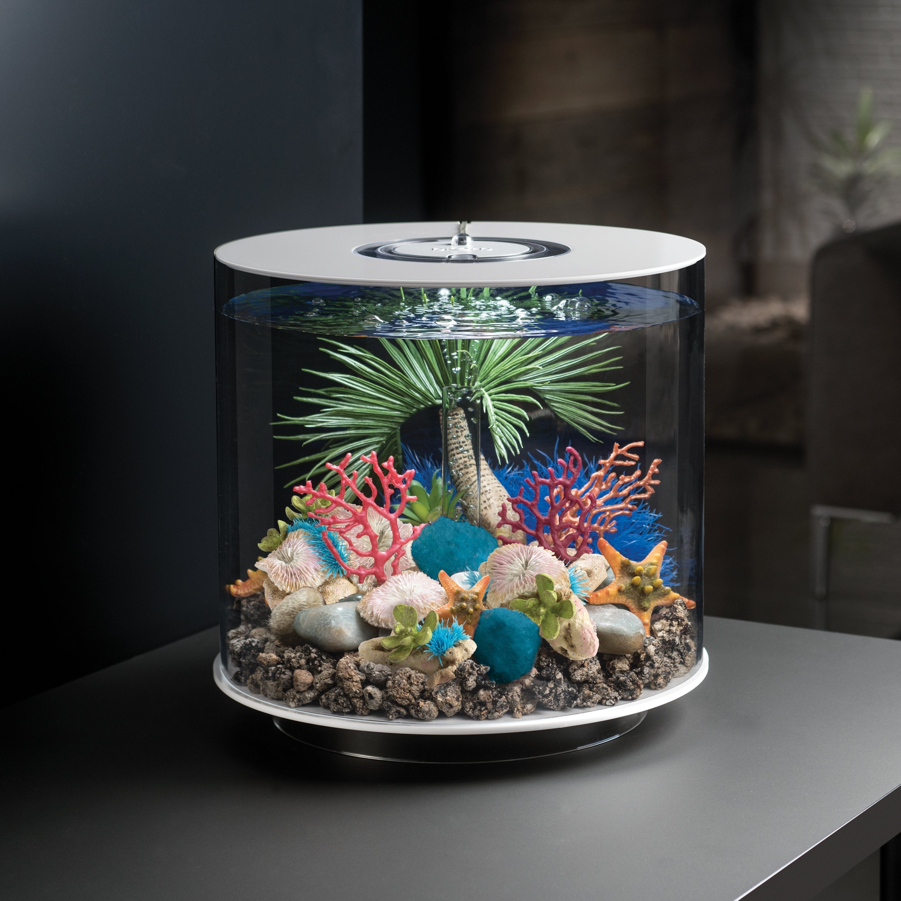 biOrb Seychelles Plate Corals & Button Polyps Set of 3 in use