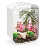 Get inspiration for your aquarium design by using the biOrb Seychelles Palm Tree Aquarium Sculpture