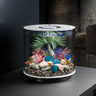 Blue Moss Pebbles Set in Use