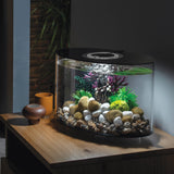 LOOP 15 Aquarium with standard LED white light