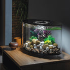 Dark Green Seapearls and Kelp Plant Set in Use