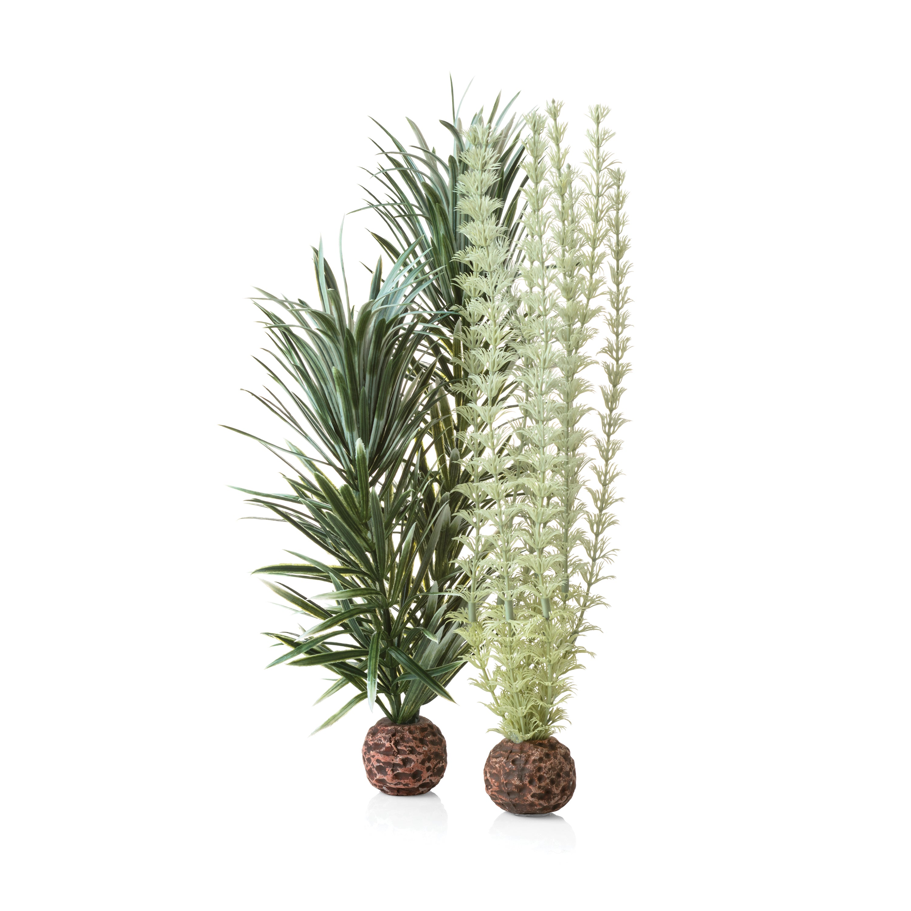 Grey/Green Ambulia Plant Set, medium