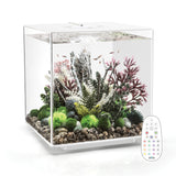 CUBE 60 Aquarium with with Multi Colour LED light - remote control