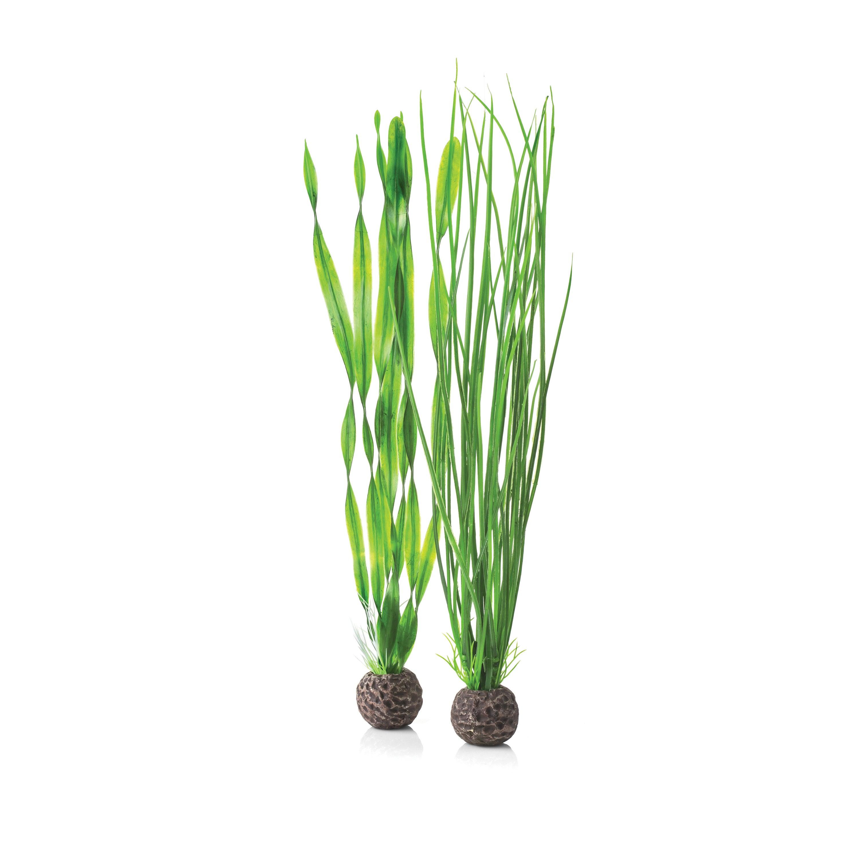 Easy Plant Set, large green