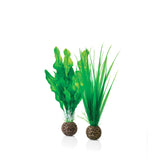 Easy Plant Set, small green