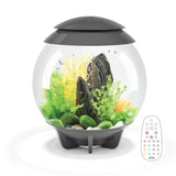 HALO 30 Aquarium with Multi Colour LED light - remote control