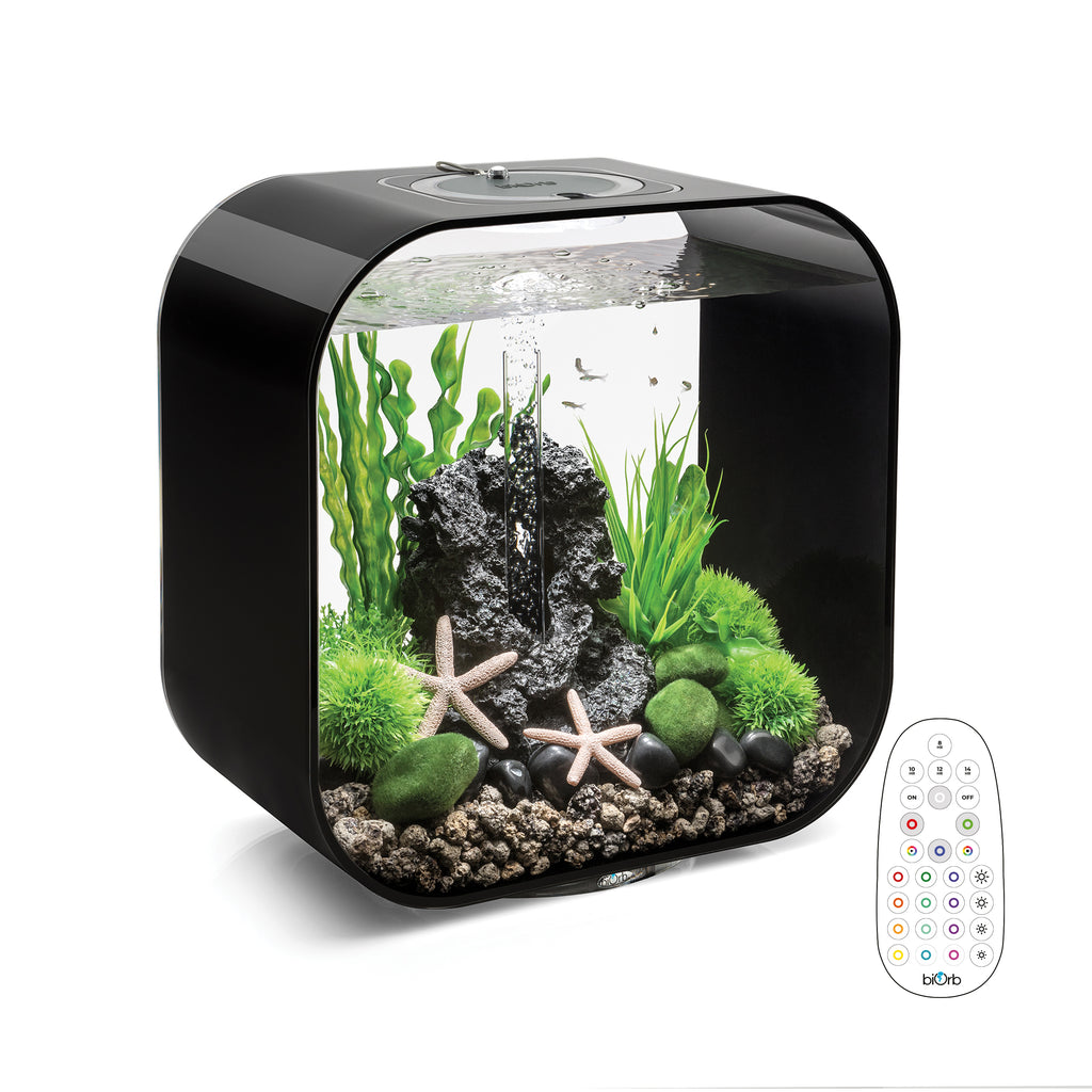 LIFE 30 Aquarium with Multi Colour LED light - remote control