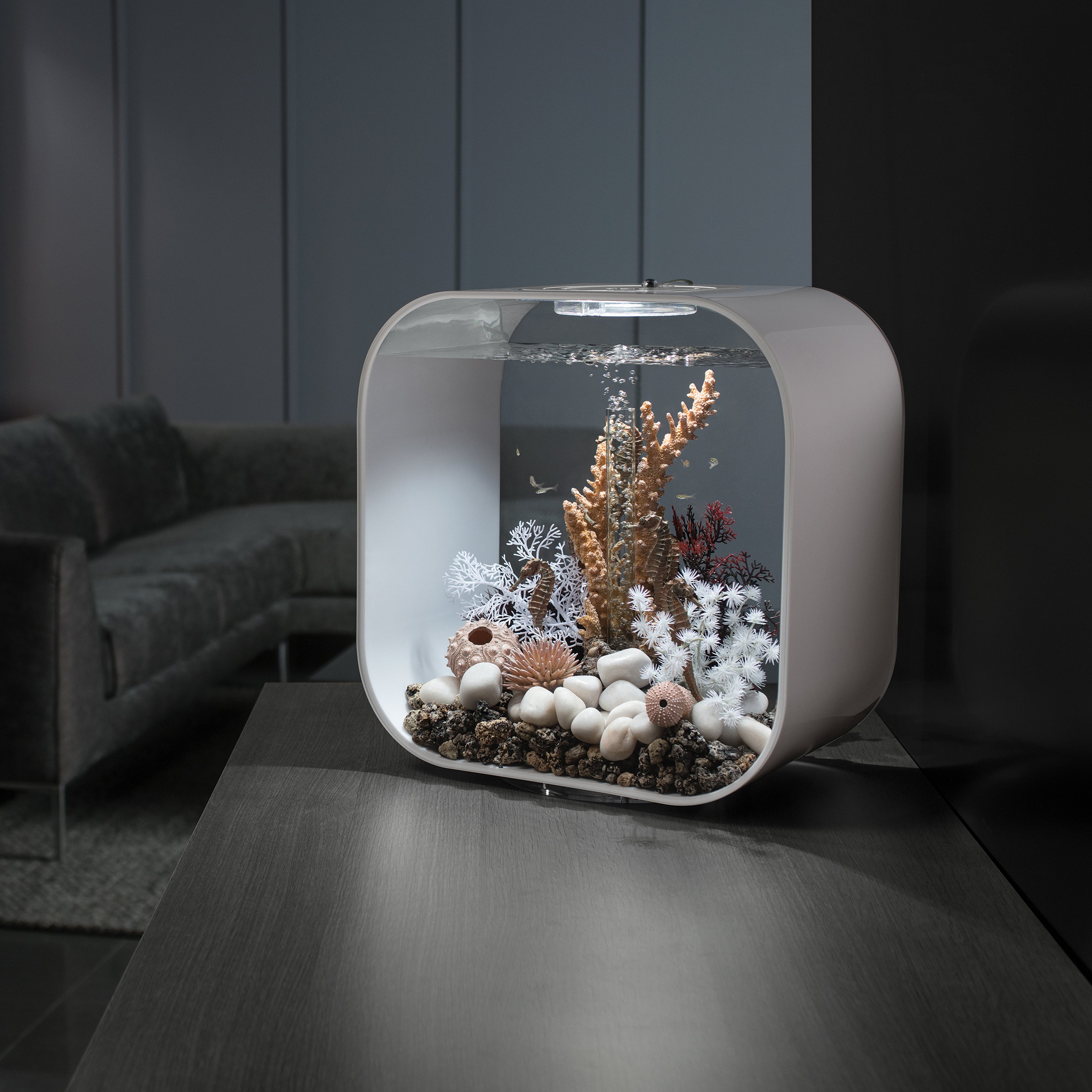 LIFE 30 Aquarium with Multi Colour LED light - remote control