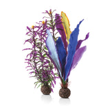 Parrot Feather Plant Set, medium