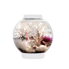 CLASSIC 15 Aquarium with Standard Light - 4 gallon available in White