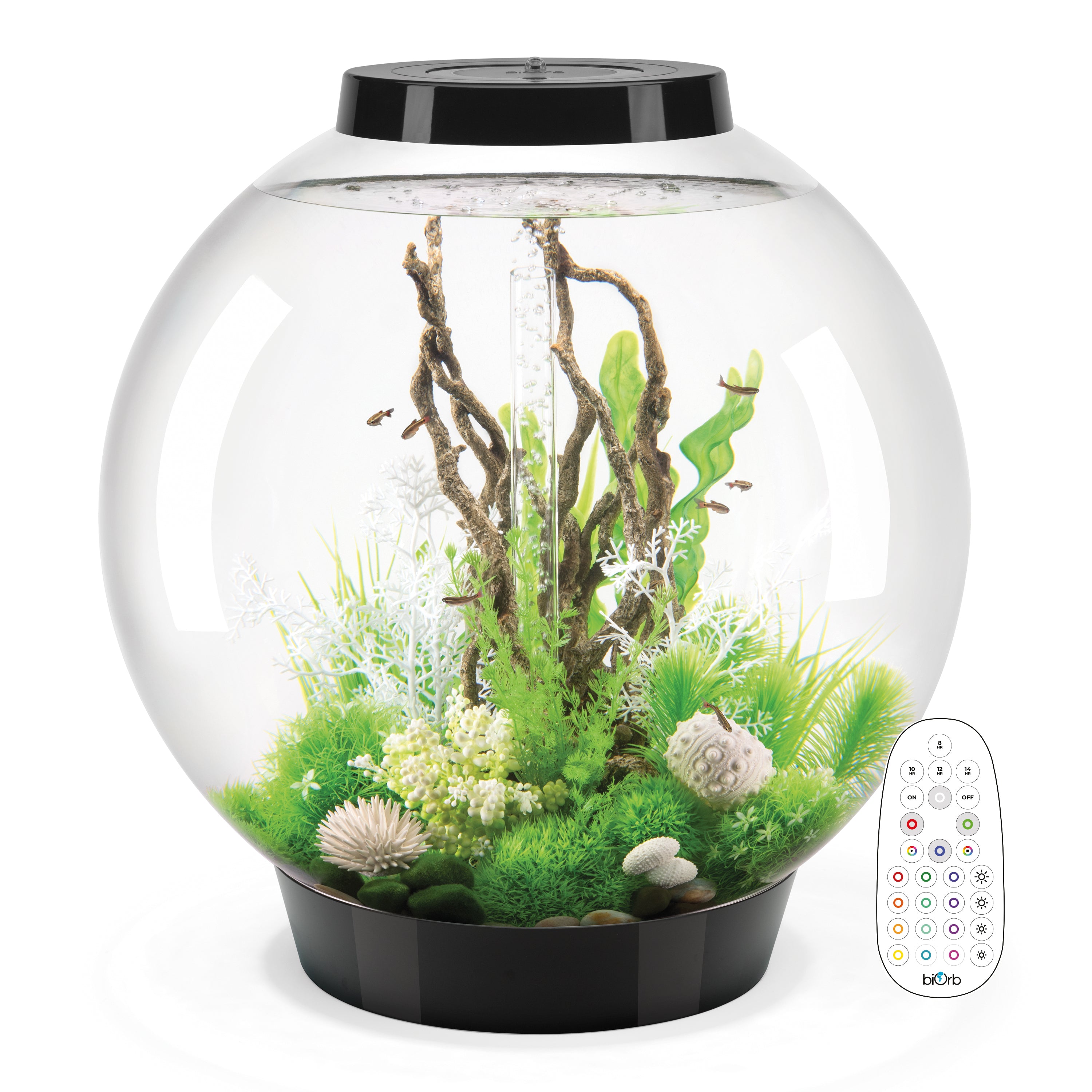 CLASSIC 105 Aquarium with Multi Colour LED light - remote control
