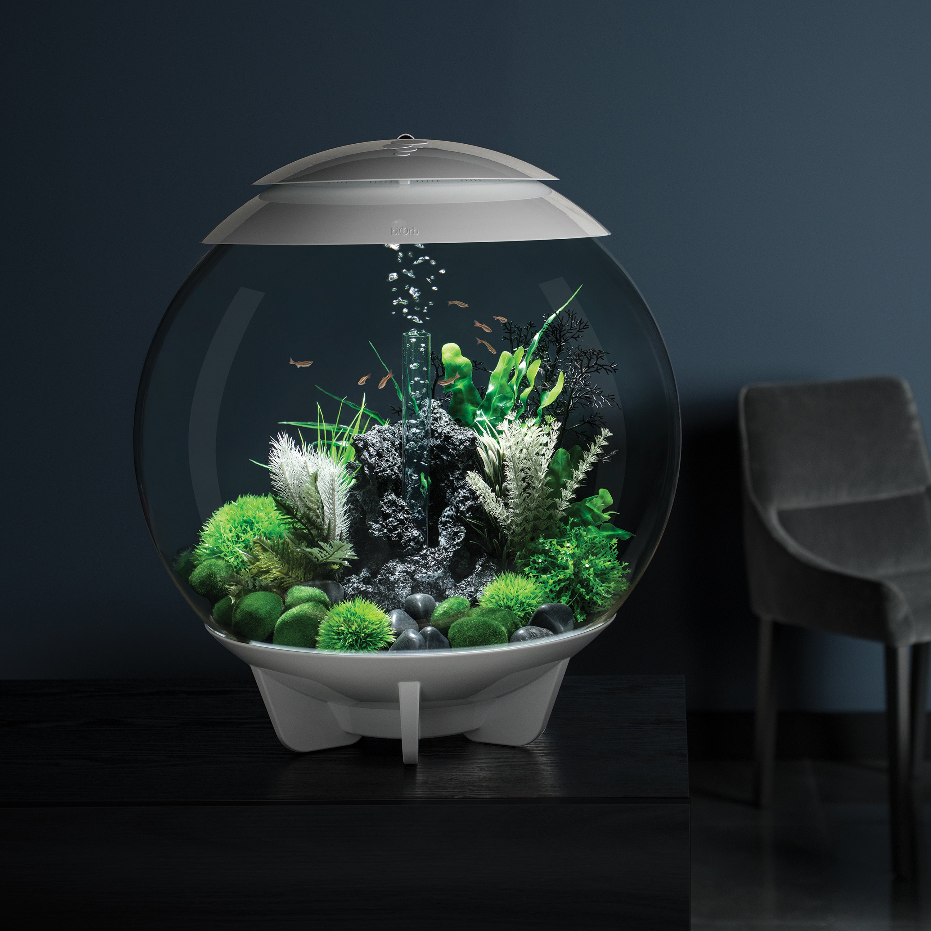 HALO 60 Aquarium with Multi Colour LED light - remote control