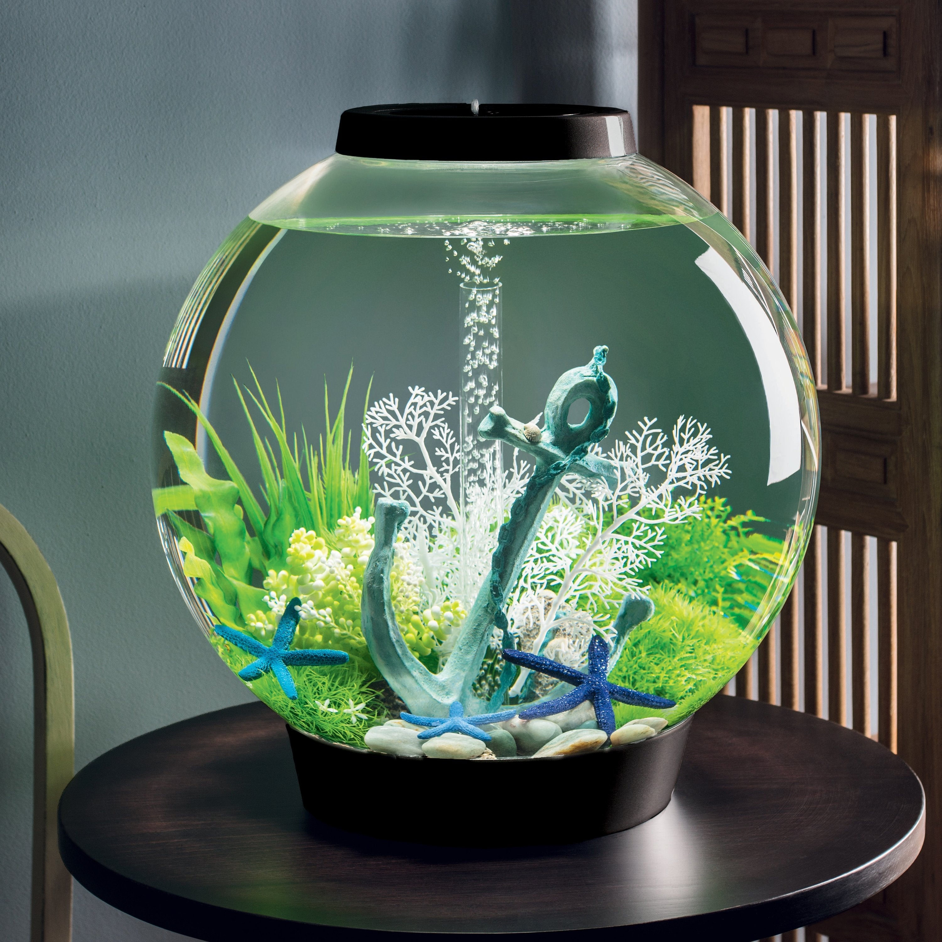 Blue Starfish Set of 3 in Use