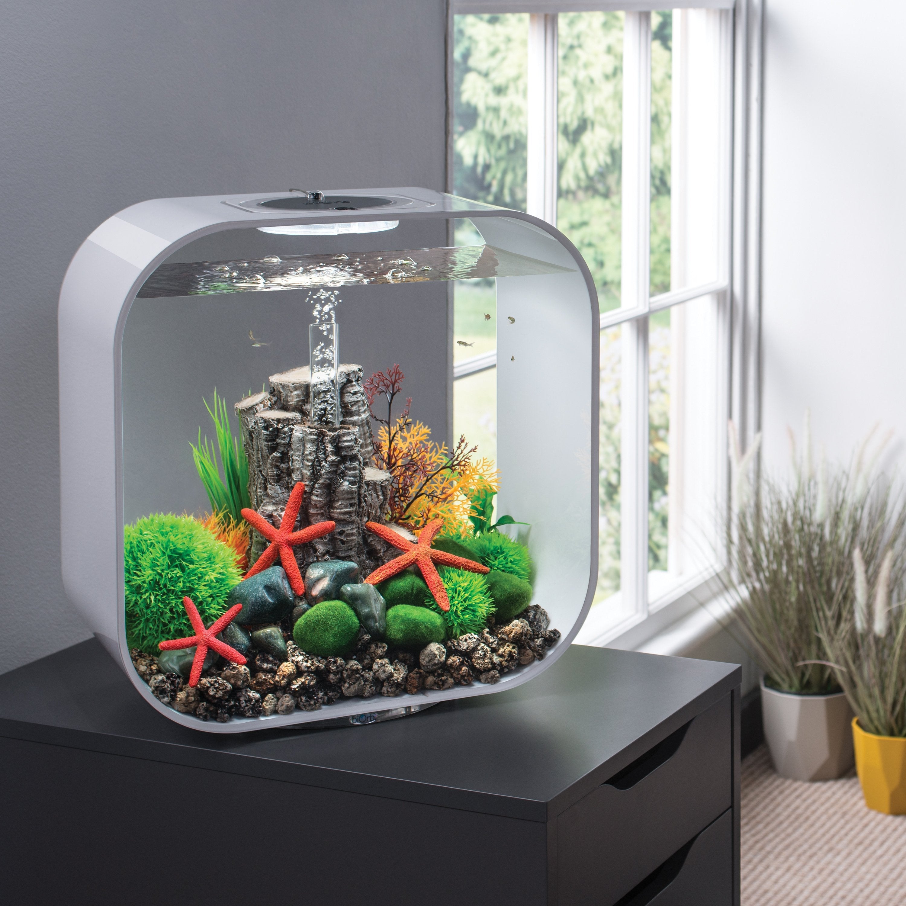 Red Starfish Set of 3 in Use