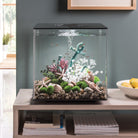 Dark Green Seapearls and Kelp Plant Set in Use
