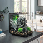 Black Sea Urchins Set of 3 in Use