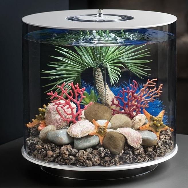 Sand Moss Pebbles Set in Use