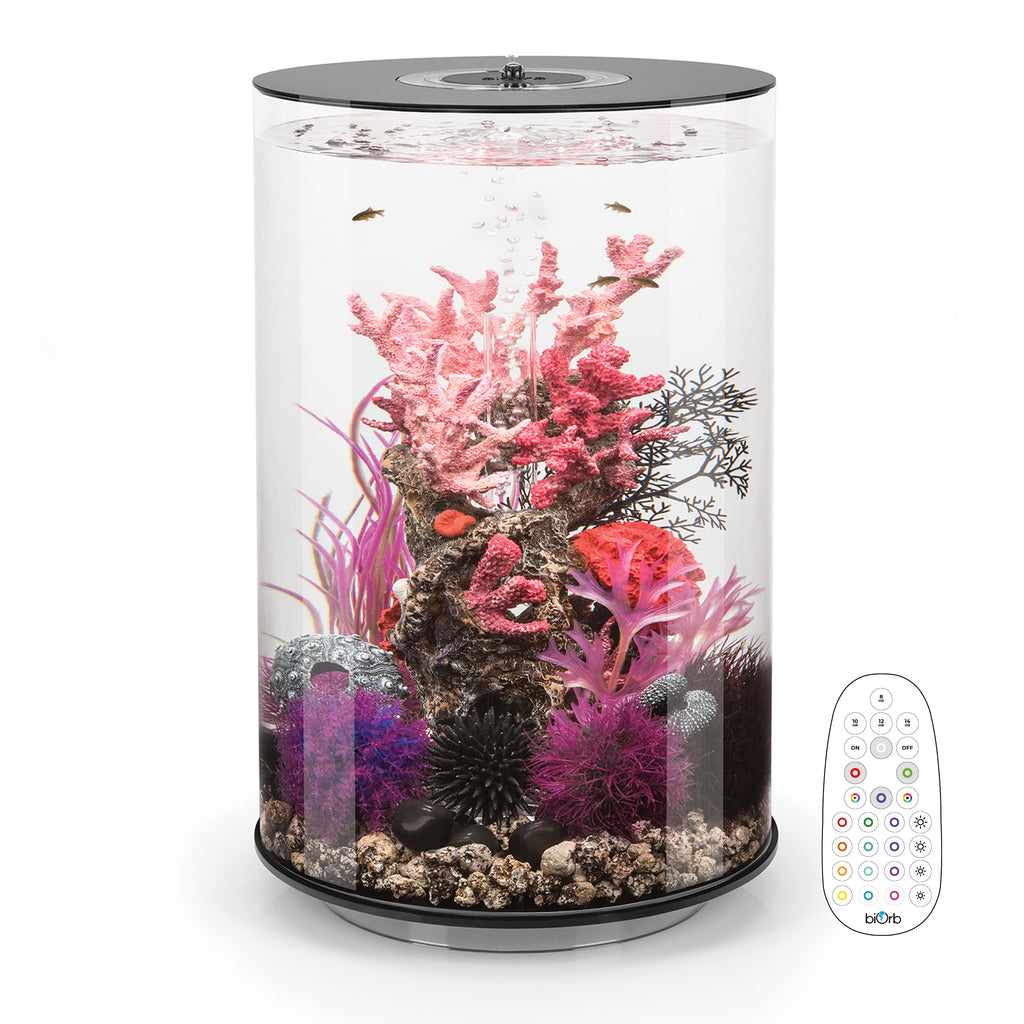 Acquario BiOrb Tubo 30 LED Nero: Completo Di Illuminazione, Filtro E Pompa - Pronto All'uso!