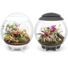 AIR 60 LED Terrarium - 16 gallon